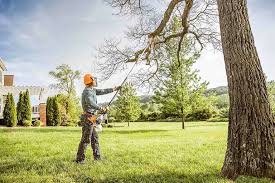  Villanova, PA Tree Care Pros