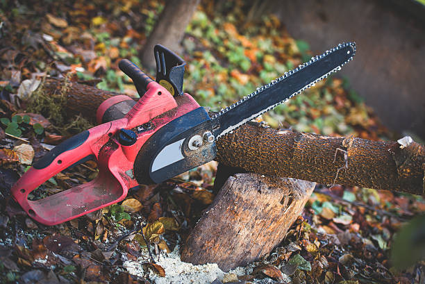Best Lawn Pest Prevention  in Villanova, PA
